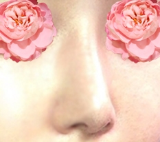 完美的鼻子修复手术