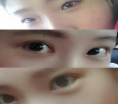 眼睛真的超级满意 哈哈
