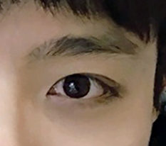 听专家的话是对的