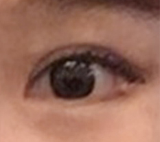 温顺的小狗眼太漂亮了 呜呜呜 ♥