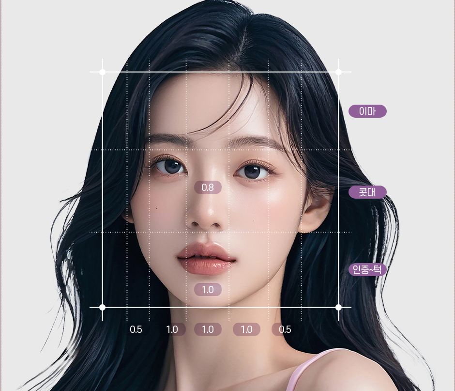 理想面部比例分析图